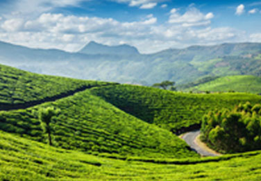 cochin to munnar taxi