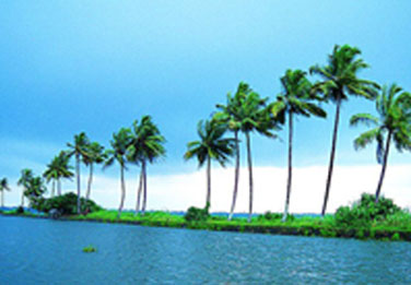 cochin to kumarakom taxi