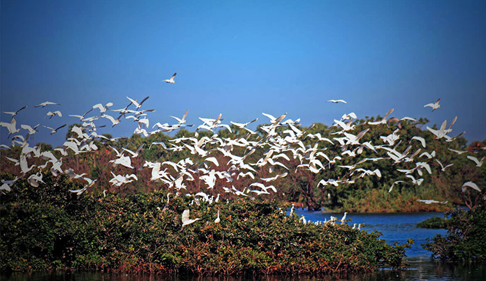 kumarakom places to visit