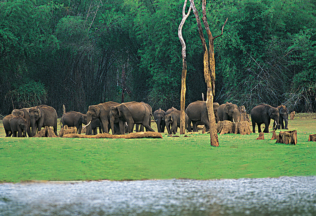 periyar taxi